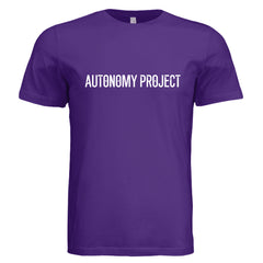 Solid Team Purple Triblend - 3413C - FRONT